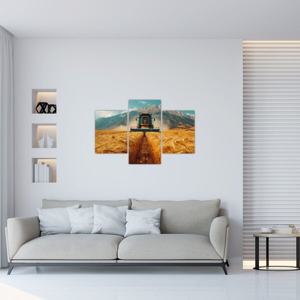Kép - Zemedelec (90x60 cm)