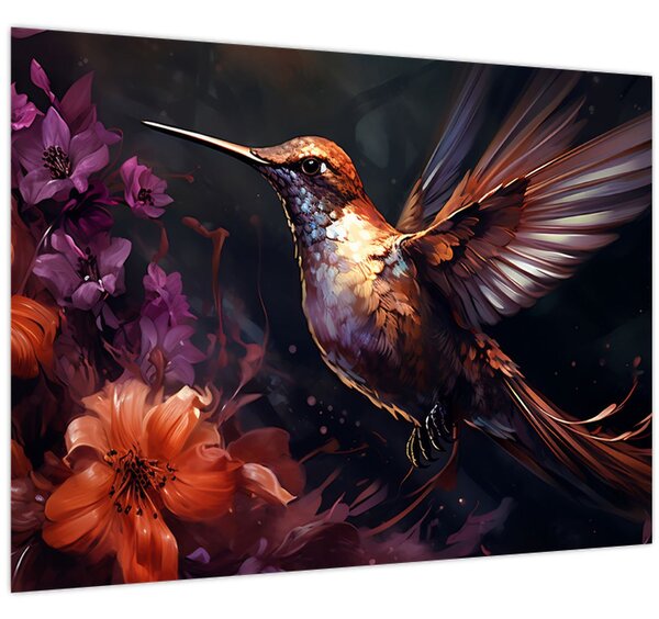 Kép - Kolibri (70x50 cm)