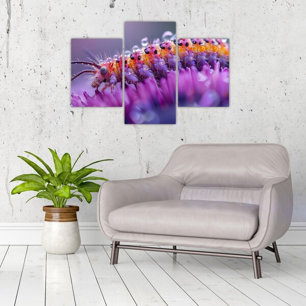 Kép - Caterpillar (90x60 cm)