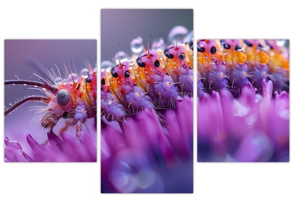 Kép - Caterpillar (90x60 cm)