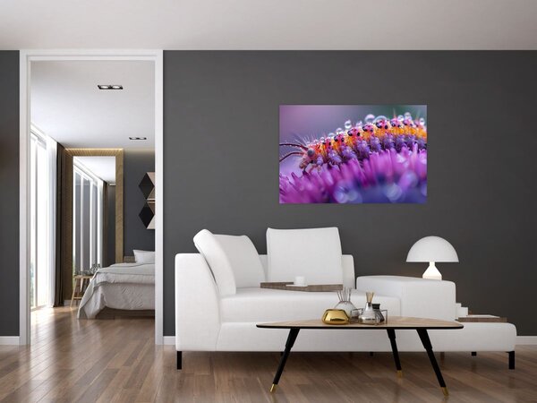 Kép - Caterpillar (90x60 cm)