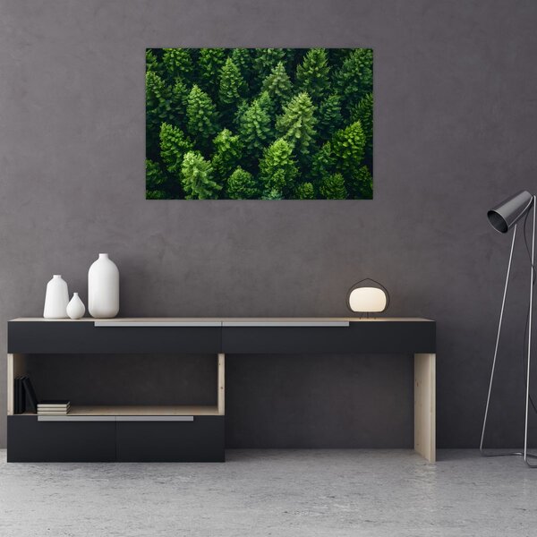 Kép - Forest (90x60 cm)