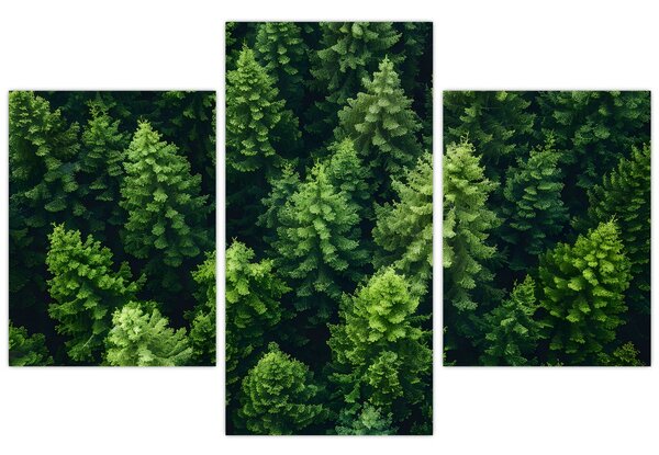 Kép - Forest (90x60 cm)