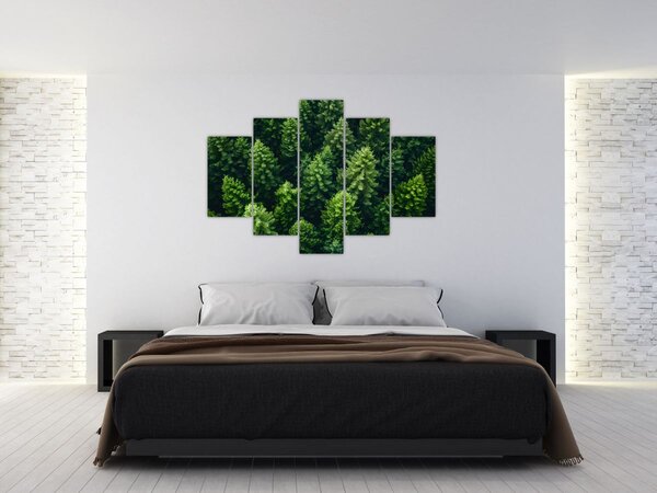 Kép - Forest (150x105 cm)
