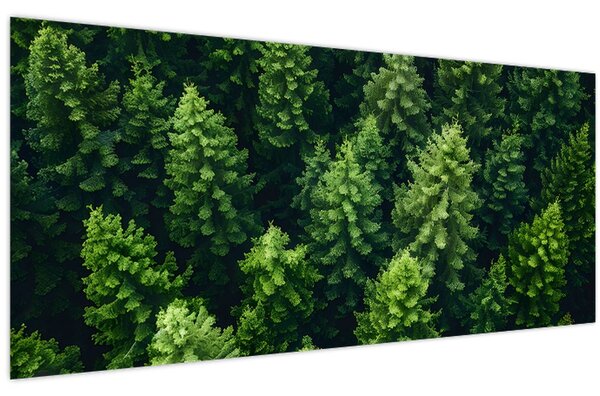 Kép - Forest (120x50 cm)