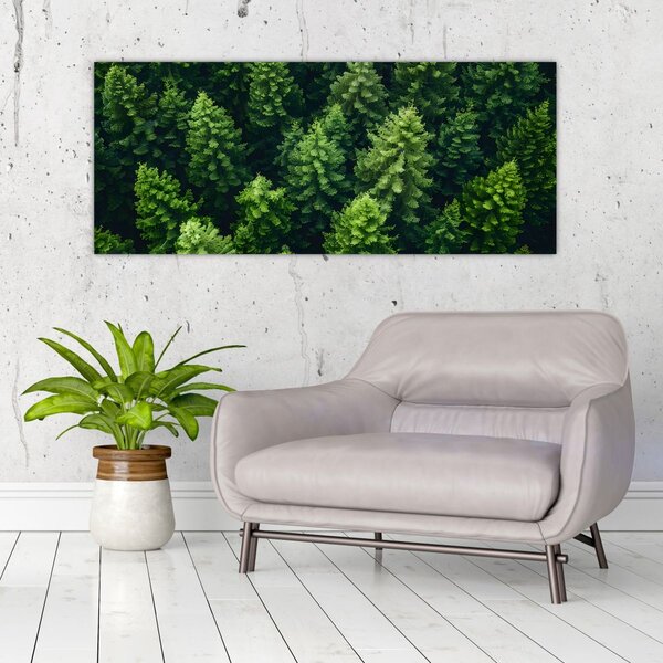 Kép - Forest (120x50 cm)
