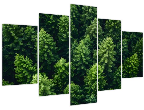 Kép - Forest (150x105 cm)