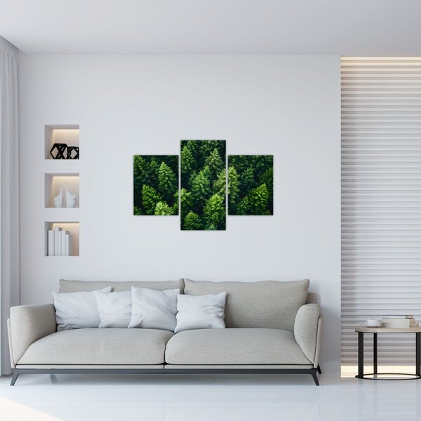 Kép - Forest (90x60 cm)