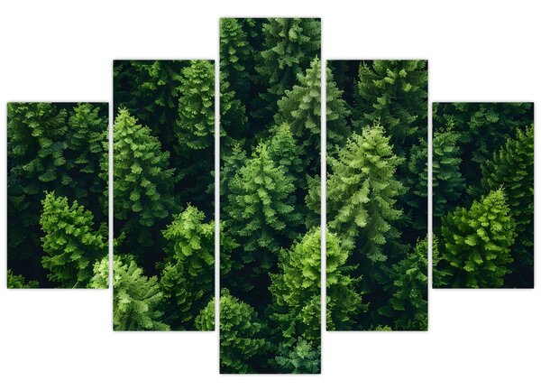 Kép - Forest (150x105 cm)