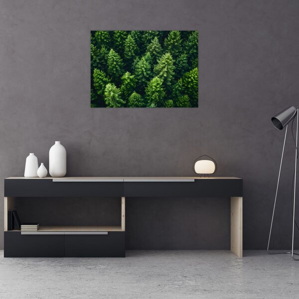 Kép - Forest (70x50 cm)