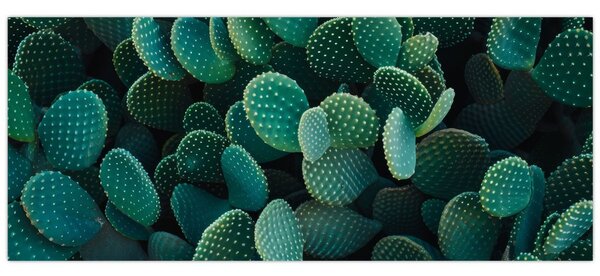 Kép - Opuntia (120x50 cm)