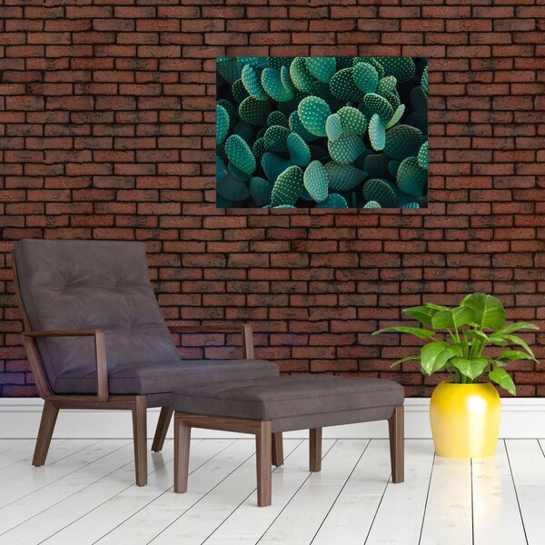 Kép - Opuntia (70x50 cm)