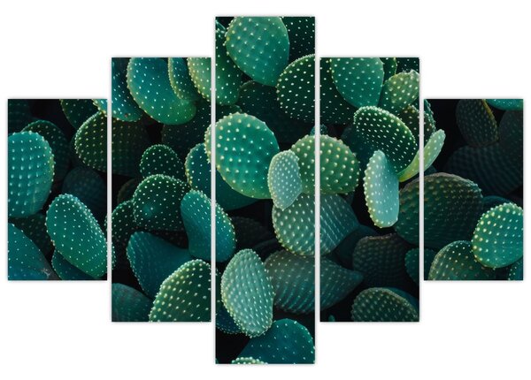 Kép - Opuntia (150x105 cm)
