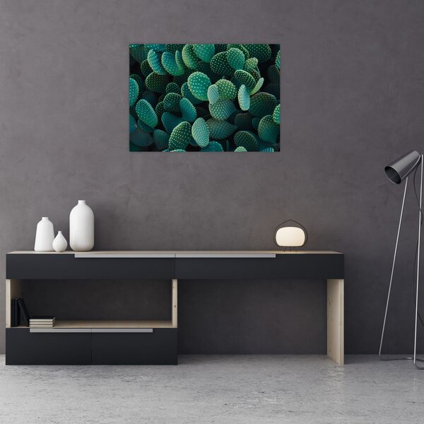 Kép - Opuntia (70x50 cm)