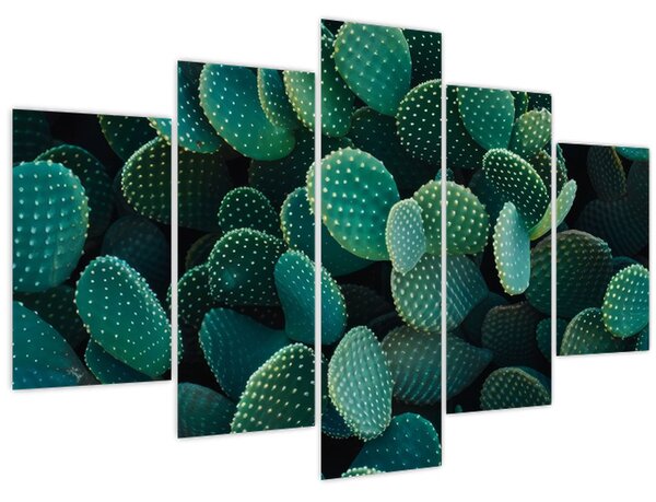Kép - Opuntia (150x105 cm)