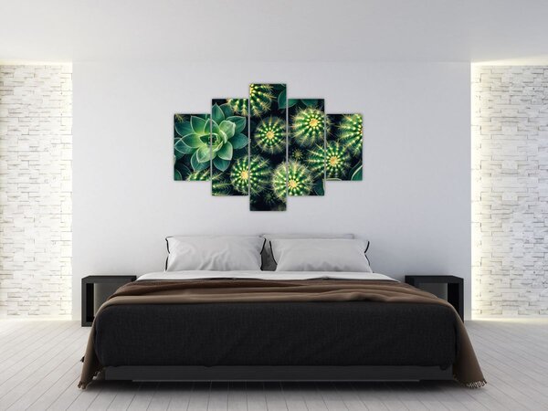 Kép - Kaktuszok (150x105 cm)