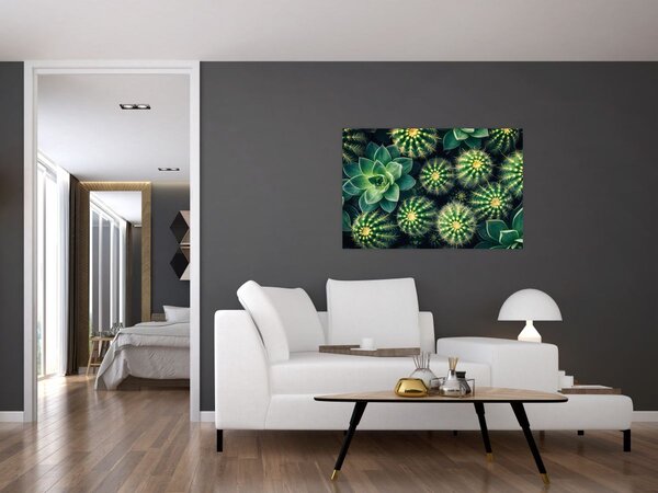 Kép - Kaktuszok (90x60 cm)