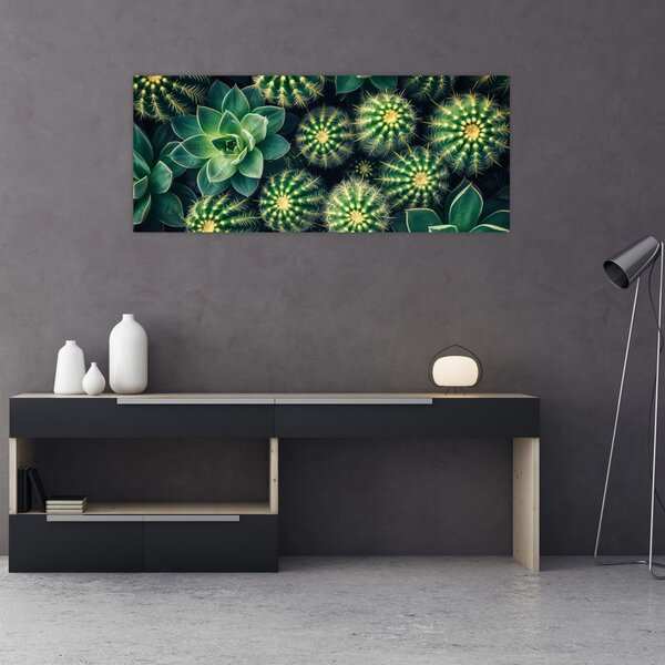 Kép - Kaktuszok (120x50 cm)