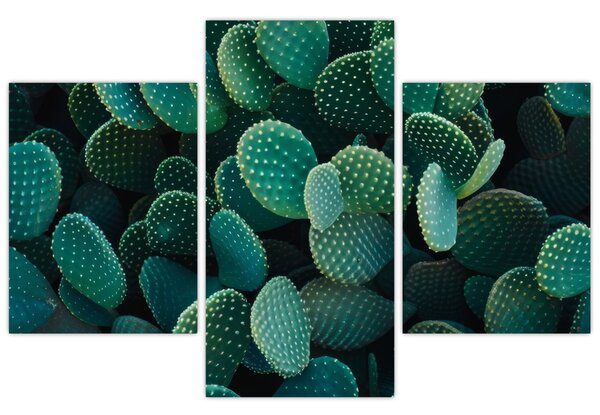 Kép - Opuntia (90x60 cm)