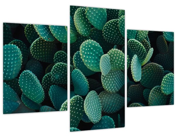 Kép - Opuntia (90x60 cm)
