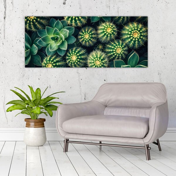 Kép - Kaktuszok (120x50 cm)
