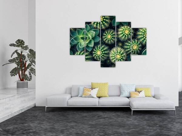 Kép - Kaktuszok (150x105 cm)