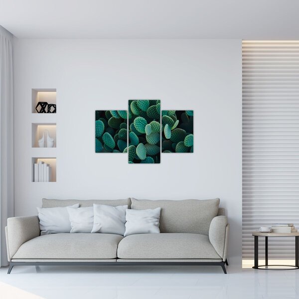 Kép - Opuntia (90x60 cm)