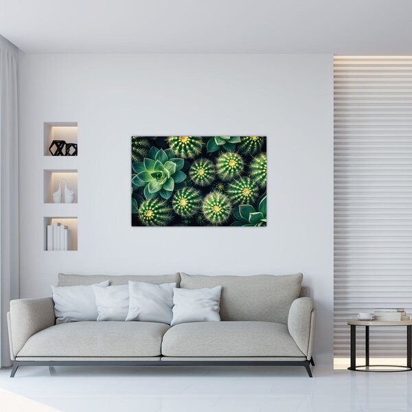 Kép - Kaktuszok (90x60 cm)