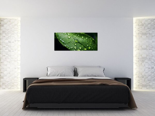 Kép - Levél eső után (120x50 cm)