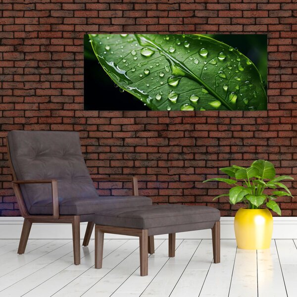 Kép - Levél eső után (120x50 cm)