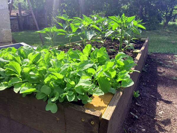 LSH Garden Box magaságyás - 200x80x60