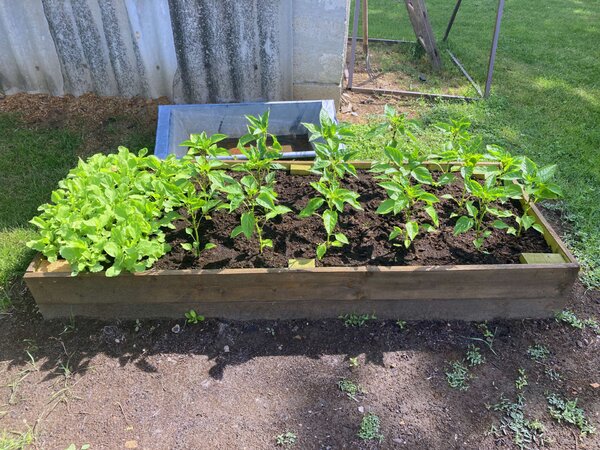 LSH Garden Box magaságyás - 200x80x60