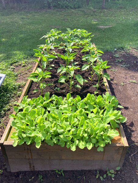 LSH Garden Box magaságyás - 200x80x60