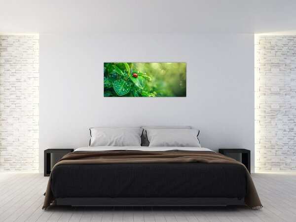 Kép - Katicabogár (120x50 cm)