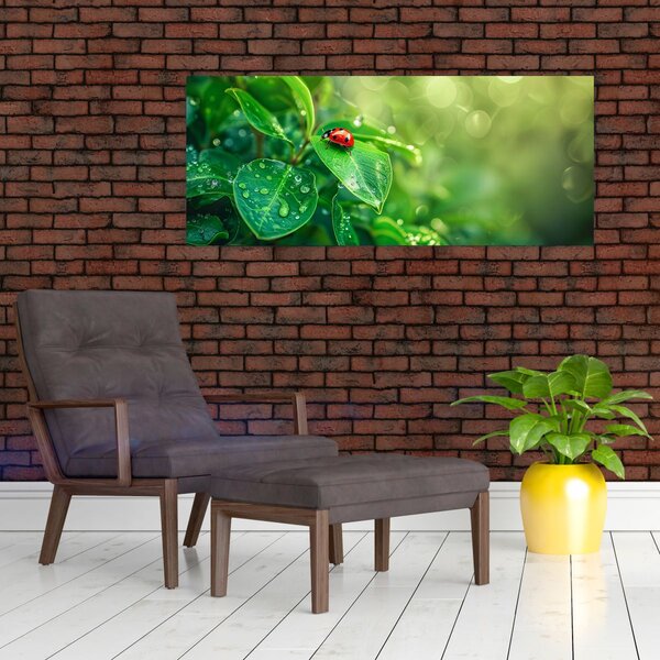 Kép - Katicabogár (120x50 cm)