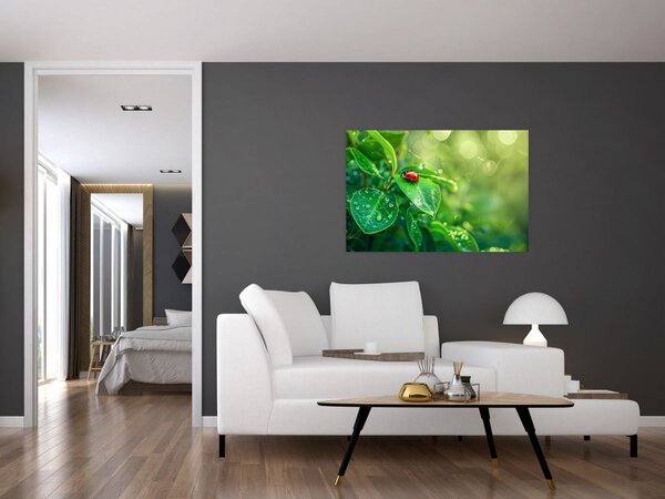 Kép - Katicabogár (90x60 cm)