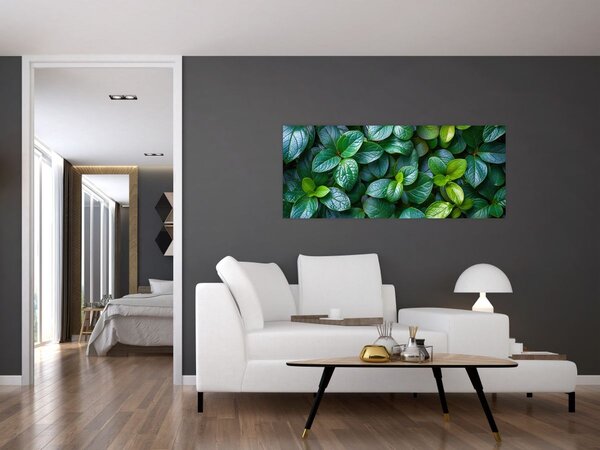 Kép - Zöld növények (120x50 cm)