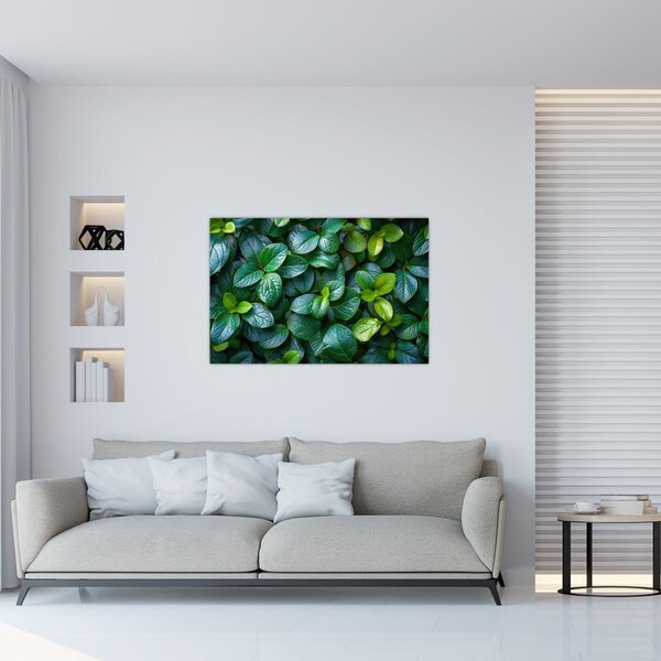 Kép - Zöld növények (90x60 cm)