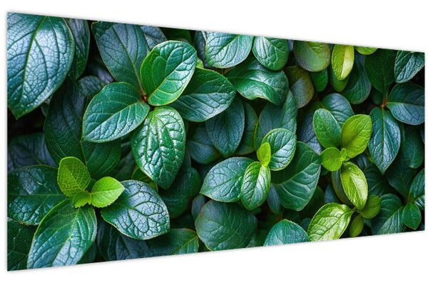 Kép - Zöld növények (120x50 cm)