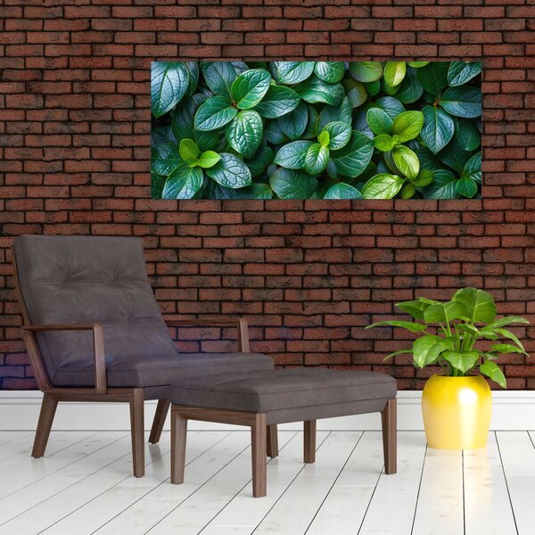 Kép - Zöld növények (120x50 cm)