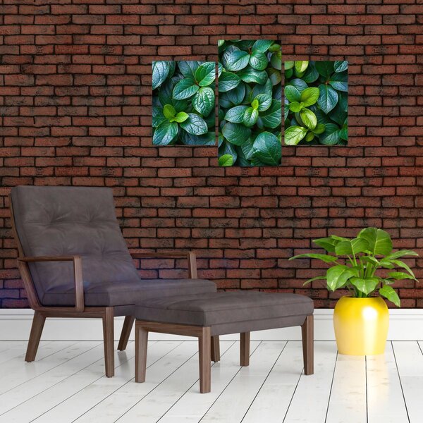 Kép - Zöld növények (90x60 cm)
