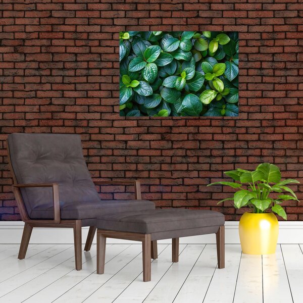 Kép - Zöld növények (70x50 cm)