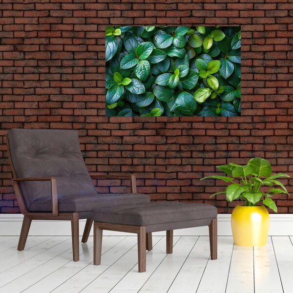 Kép - Zöld növények (90x60 cm)