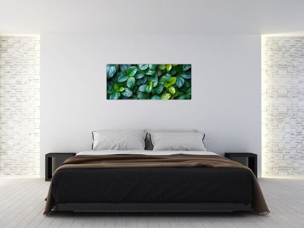 Kép - Zöld növények (120x50 cm)