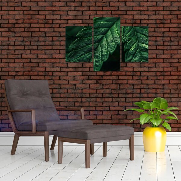 Kép - A lap részletei (90x60 cm)