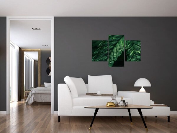 Kép - A lap részletei (90x60 cm)