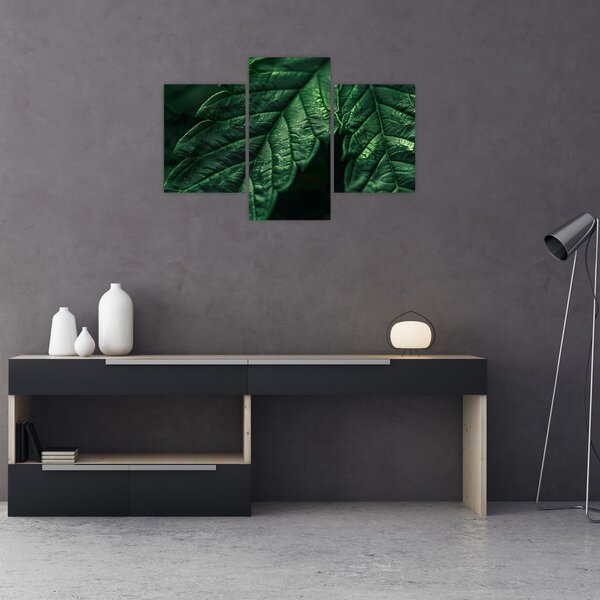Kép - A lap részletei (90x60 cm)