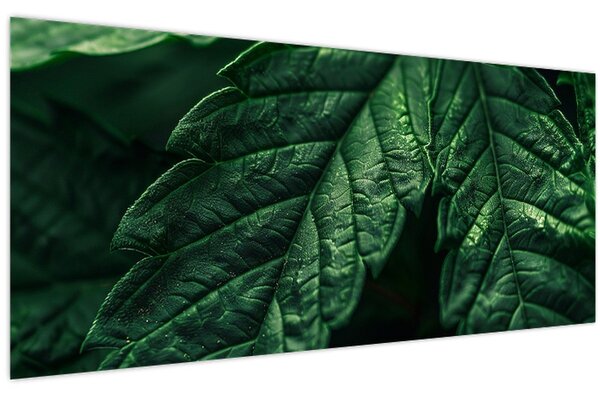 Kép - A lap részletei (120x50 cm)