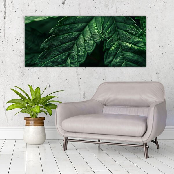 Kép - A lap részletei (120x50 cm)