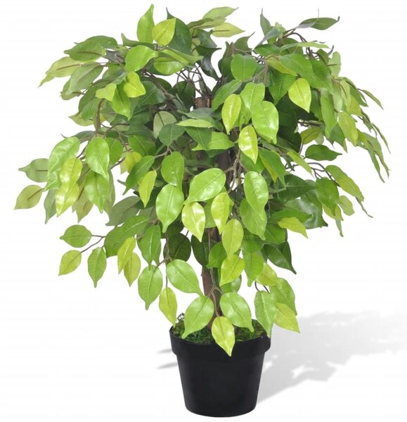 Mesterséges Törpe Fikusz Edény 60 cm